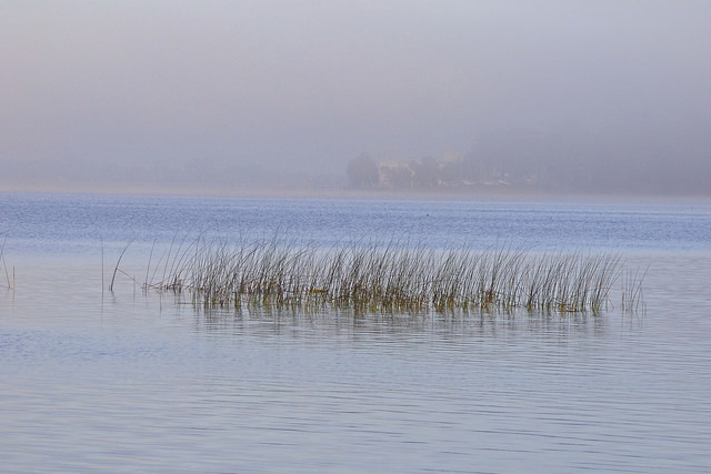 Contaminantes varios detectados en la laguna Mar Chiquita de Córdoba