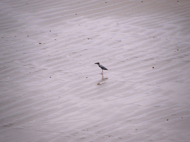 Estudian microplásticos en una playa de la Reserva de la Biosfera de Lanzarote