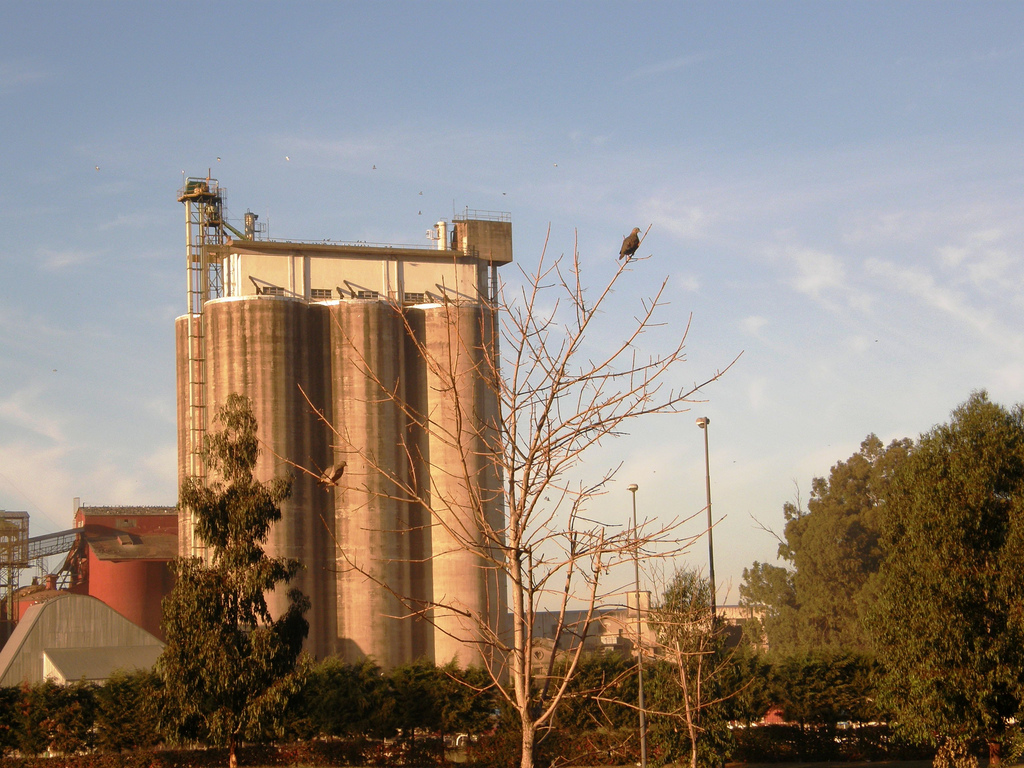 Detectan irregularidades preocupantes en plantas de acopio de cereales (Santa Fe)