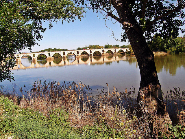 Entrevista a experto español en contaminantes emergentes de aguas de rios