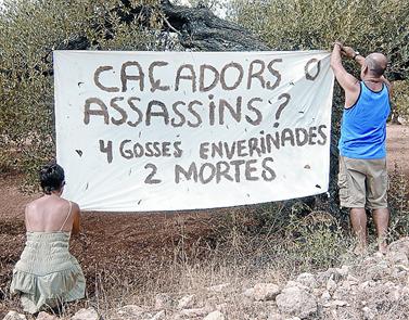 Matanza de perros en Pla del Bif, Camarles