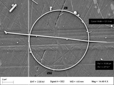 Researchers have developed a method for detecting silver nanoparticles in food products