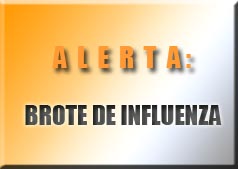 Tambien necesitamos....información sobre influenza