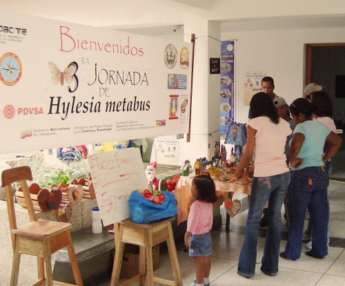 Hylesia en Venezuela (2)